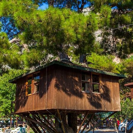 Gorge Club Hotel Saklikent ห้อง รูปภาพ